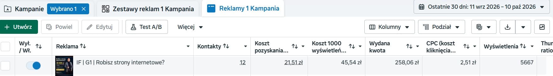 Menedżer Reklam: reklama „Robisz strony internetowe?”, 12 kontaktów po 21,51 zł